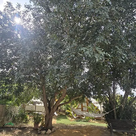 Boho Glamping En Complejo Rural El Mayorazgo Camping Cádiz