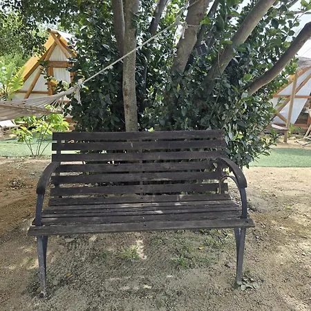 Boho Glamping En Complejo Rural El Mayorazgo * Cádiz